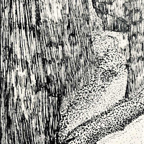 Ink Doodle