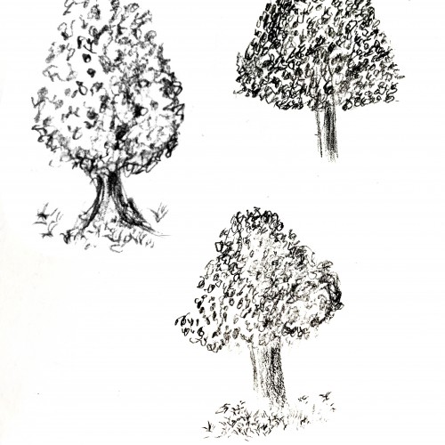 Tree Doodles