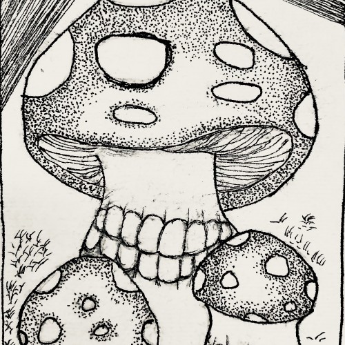 Mushrooms