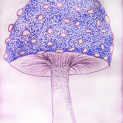 Blue Mushroom