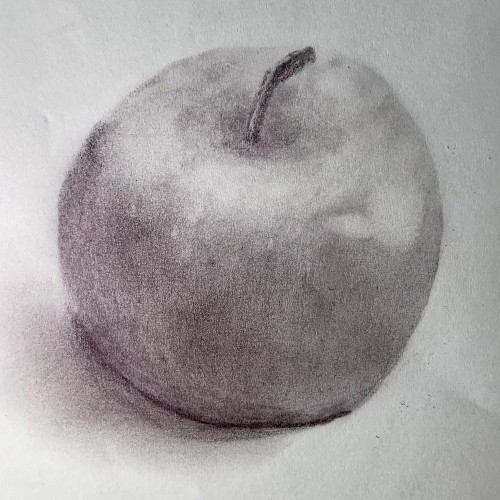 Still Life Practice