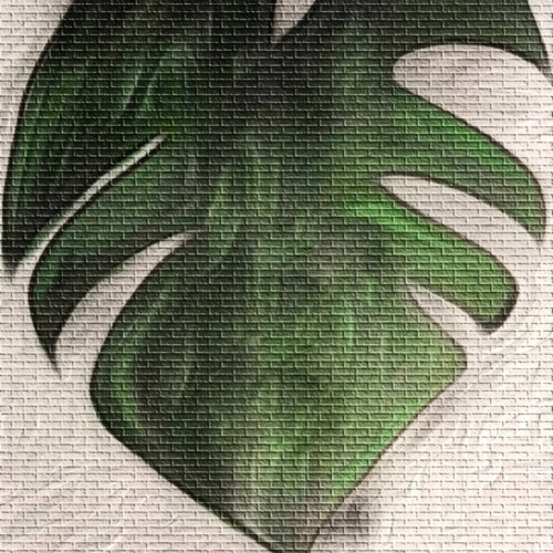 Monstera Leaf