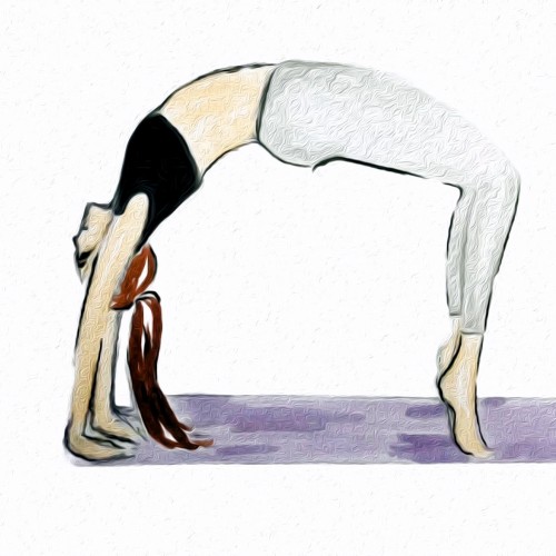 Chakrasana