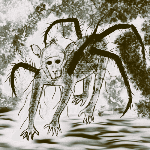 Spider Monkey