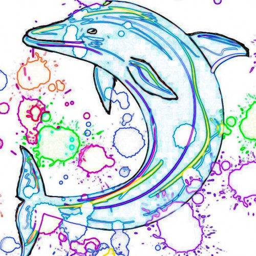 Dolphin