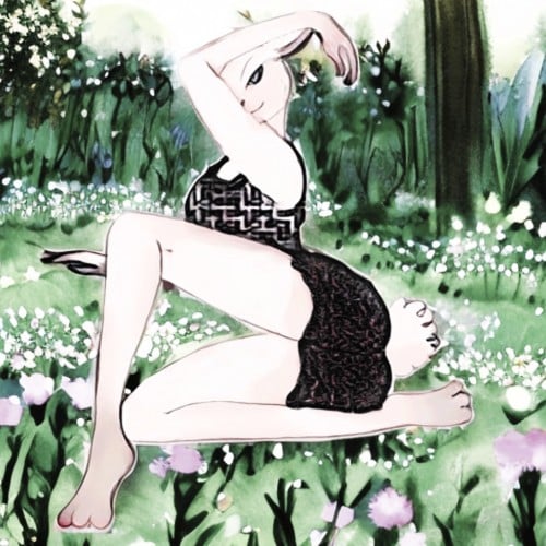 Meadow Rabbit