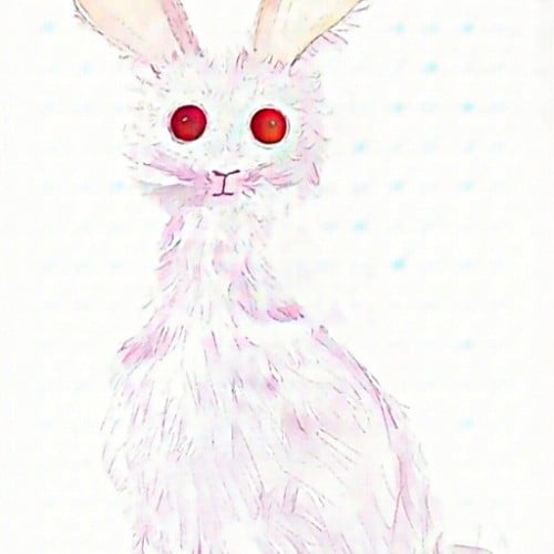 Rabbit