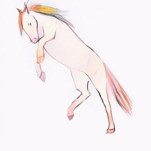 Horses