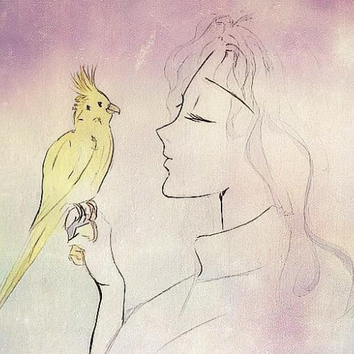 Pretty Bird