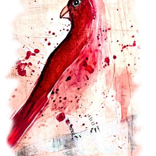 Cardinal