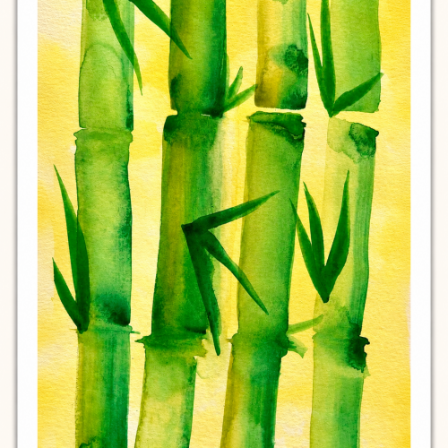 Bamboo