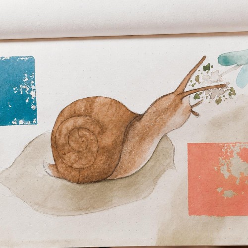 Snail