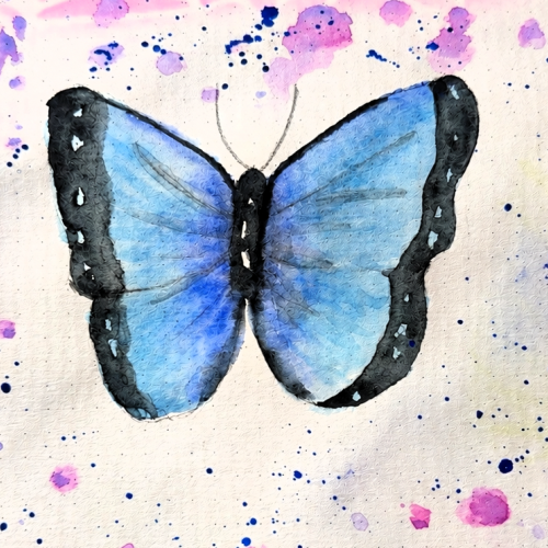 Butterfly