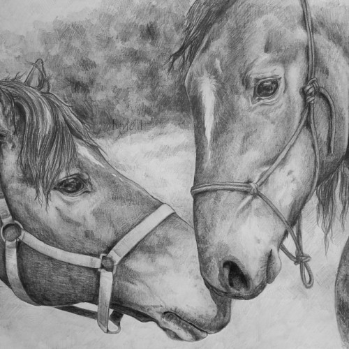 Horses