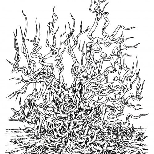 Last Tree of G`run Desert