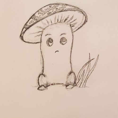 Mushroom Sketch