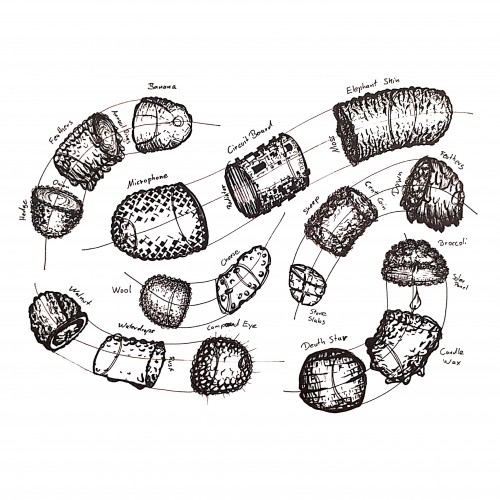 Texture Exercise