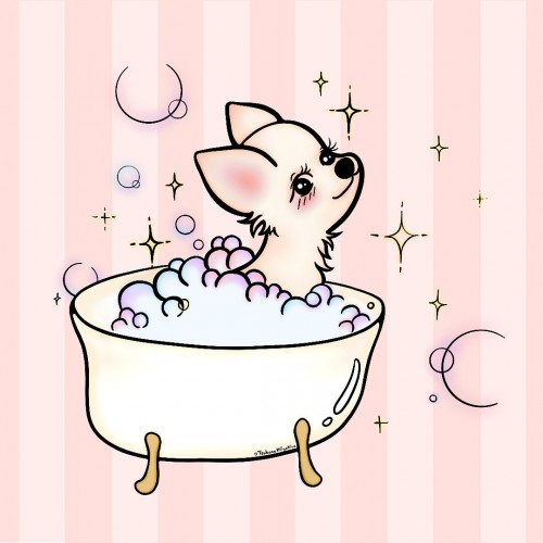 Chihuaua Taking a Bath