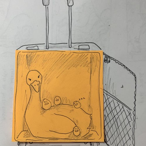 Duck and birbs escaping the country because they’re wanted criminals but they have no passport so they do their next best option: stowaway in someone’s suitcase
