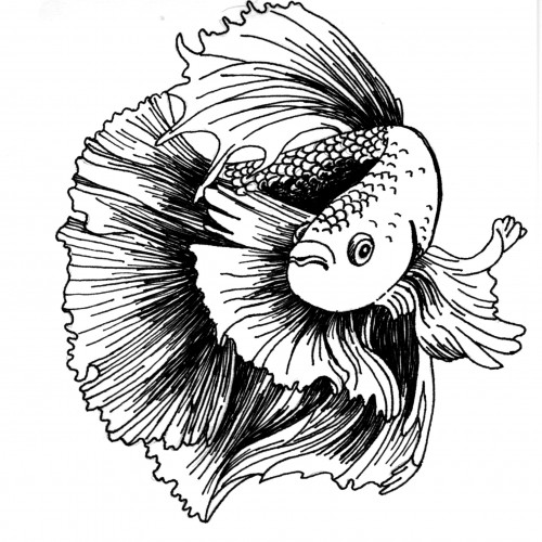 Fish, Inktober