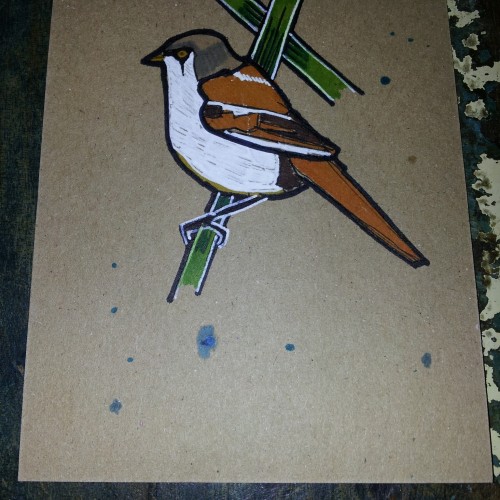 Bird