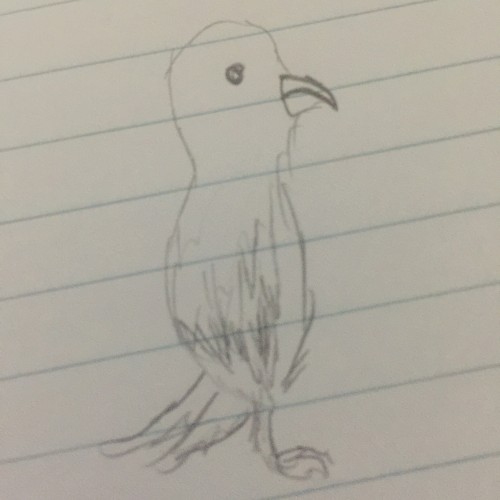 Simplistic Bird