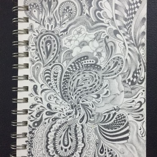 Paisley Doodle (Completed)