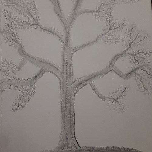 tree