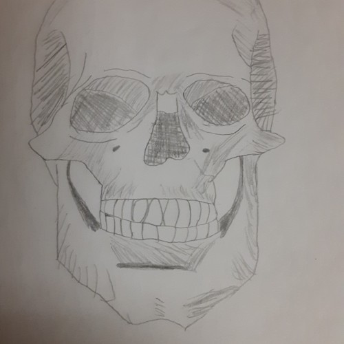 skull