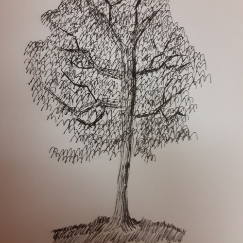 tree