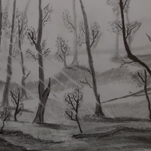 Forest drawing