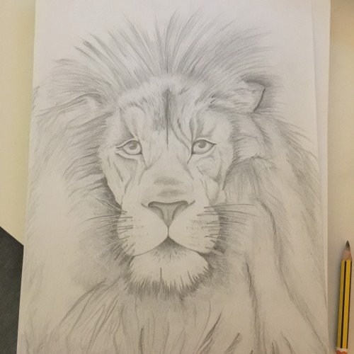 pen & paper lion