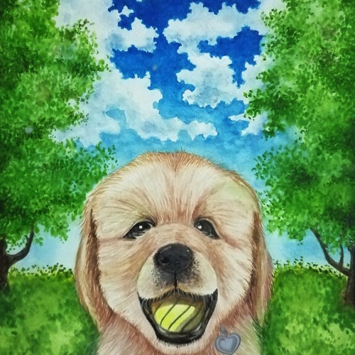 Dog in Summer