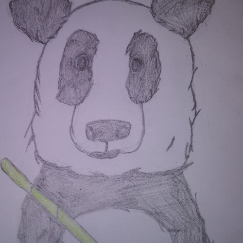 Panda, Panda