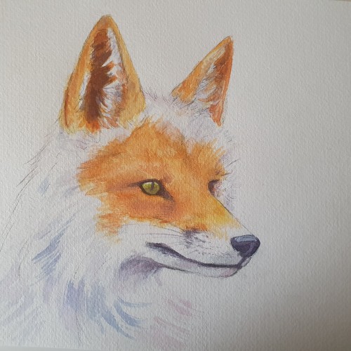 Watercolor fox
