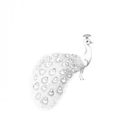 Stippled peacock