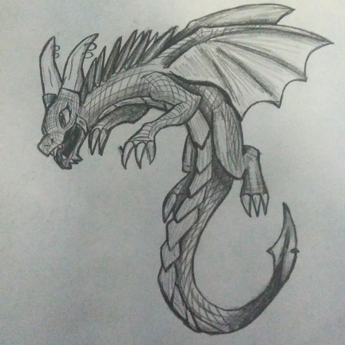 Dragon