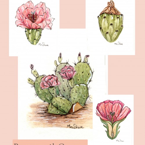 Beavertail Cactus