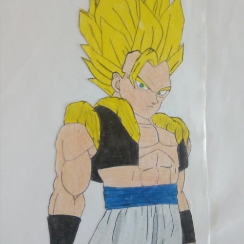 Super Saiyan Gogeta