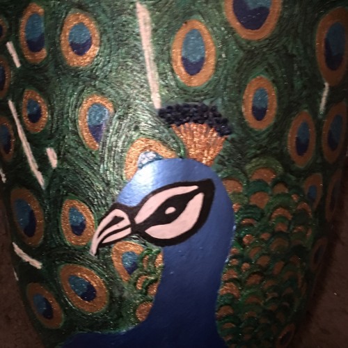 Peacock