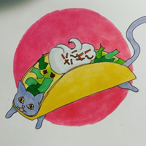 Taco Cat