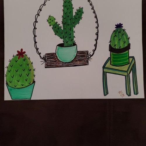 3 Little Cacti