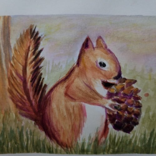 Funky Squirrel