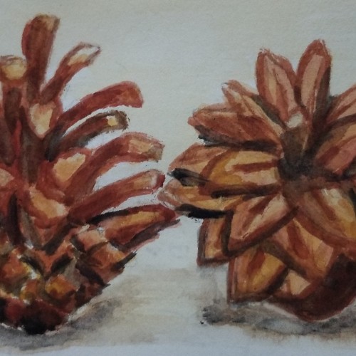 Pinecone Couple