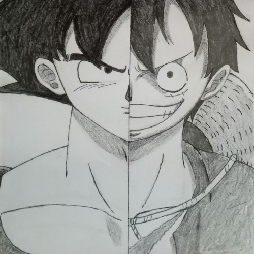 Half N Half (Goku and Luffy)