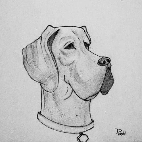 Dog - A sketch