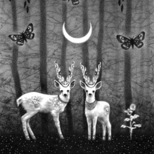 Deer Queens