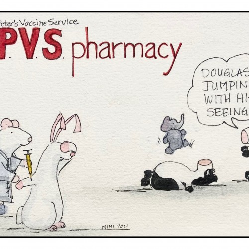 ♥️PVS pharmacy