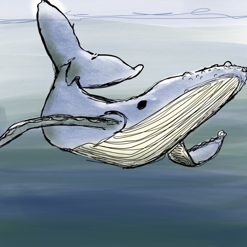 Whale