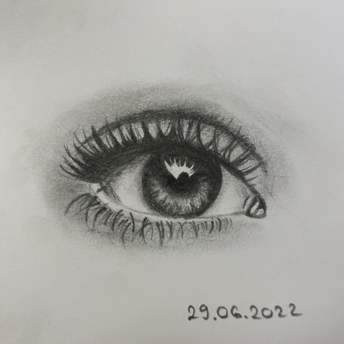 Eye